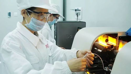 乳品中國造，完達山以實干鑄就國貨品質標桿