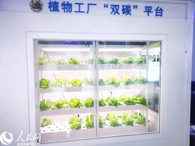 數(shù)字內(nèi)容新紀(jì)元 激發(fā)源頭創(chuàng)新，科技點亮精彩生活