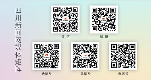 四川發(fā)布校外培訓機構廣告規(guī)范提示，數(shù)字內(nèi)容制作服務需注意這些“紅線”